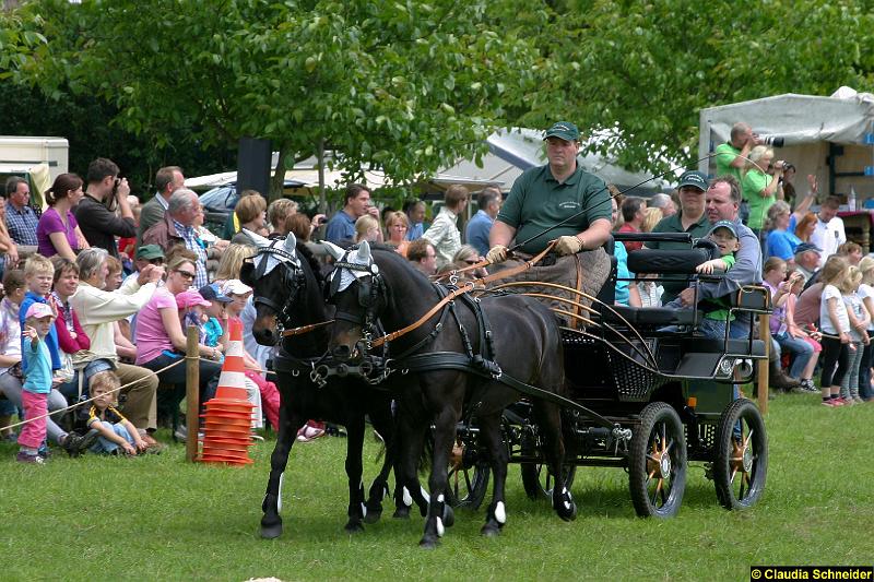 Ponytag Bosbach 2012-001.jpg